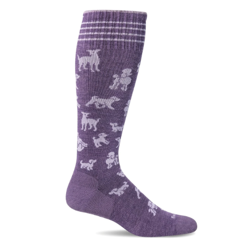 Sockwell Women's Best in Show Moderate Graduated Compression Socks