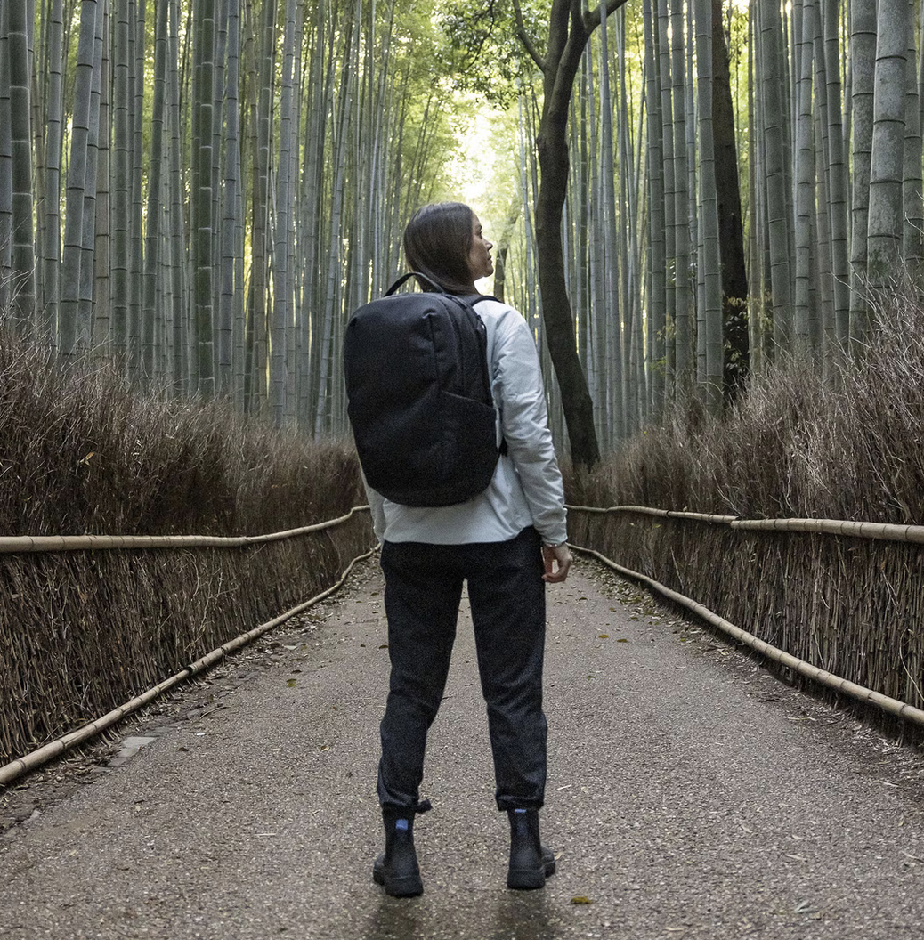 Thule Subterra 2 27L Backpack