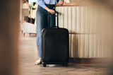 Briggs & Riley NEW ZDX Medium Expandable Spinner