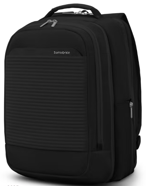 Samsonite Paralux 2-in-1 Travel Backpack