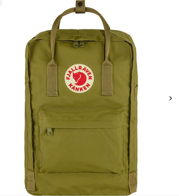Fjallraven Kanken 15” Laptop Backpack