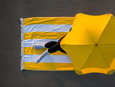 Are Blunt Umbrellas Worth Buying?