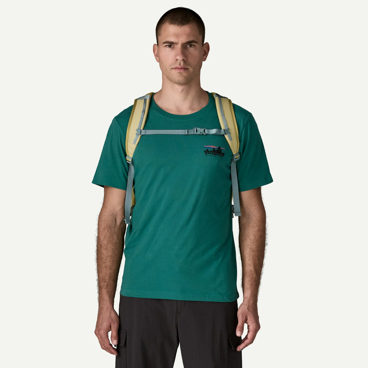 Patagonia Refugio Daypack 30L