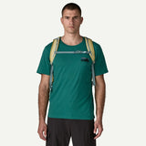 Patagonia Refugio Daypack 30L