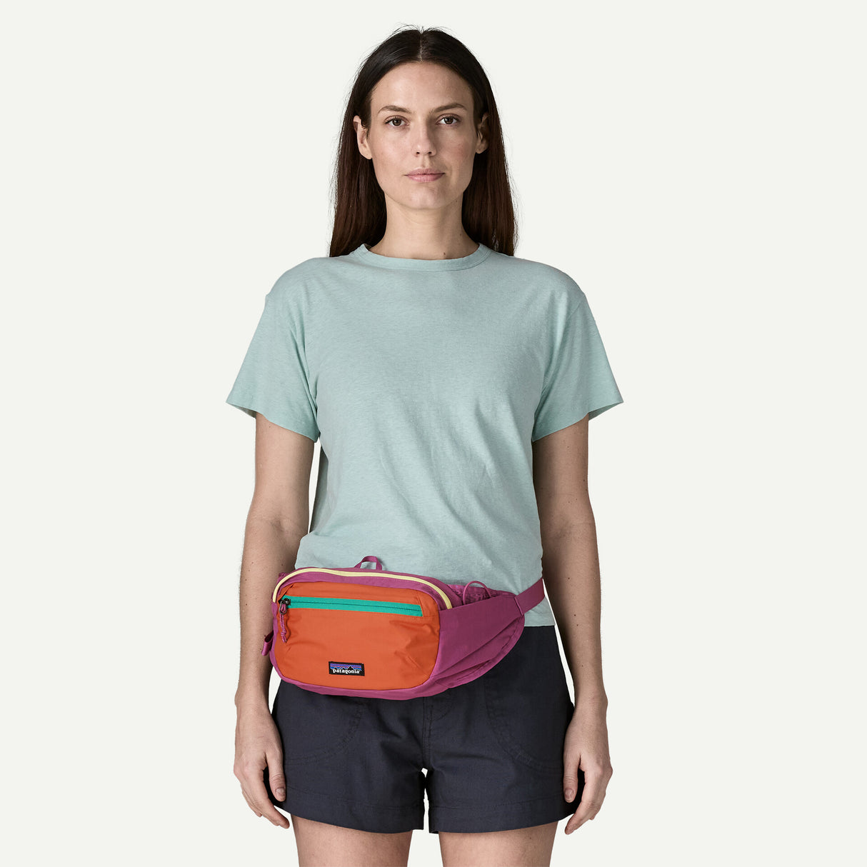 Patagonia Terravia Hip Pack 4L