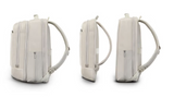 Samsonite Paralux 2-in-1 Travel Backpack