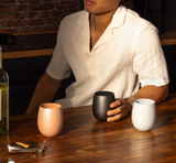 Corkcicle Sommelier Stemless Set (2)