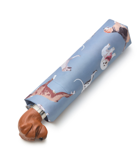 Fulton Curio 2 UV Umbrella