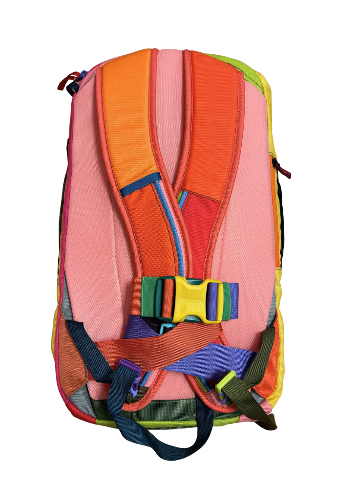Cotopaxi Allpa 28L Travel Pack - Del Dia (Surprise Pack)