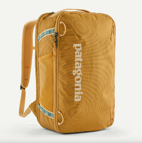 Patagonia Black Hole Mini MLC 30 L