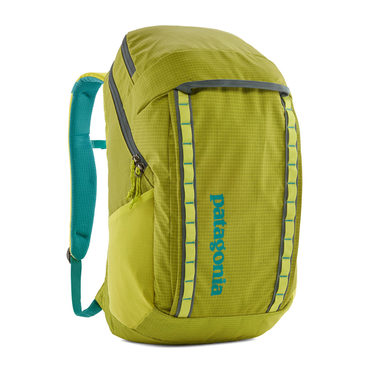 Patagonia Black Hole Pack 32L