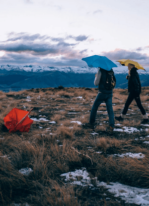 Blunt Metro Umbrella - U.N. Luggage Canada
