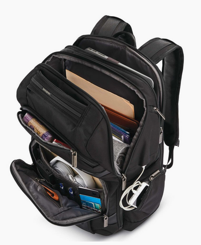 Samsonite Tectonic Sweetwater Backpack