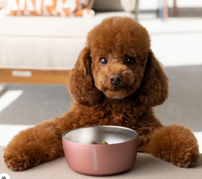 Corkcicle Dog Bowl