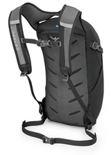 Osprey Daylite 13L Backpack Back Panel