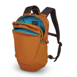 Pacsafe ECO 18L Backpack